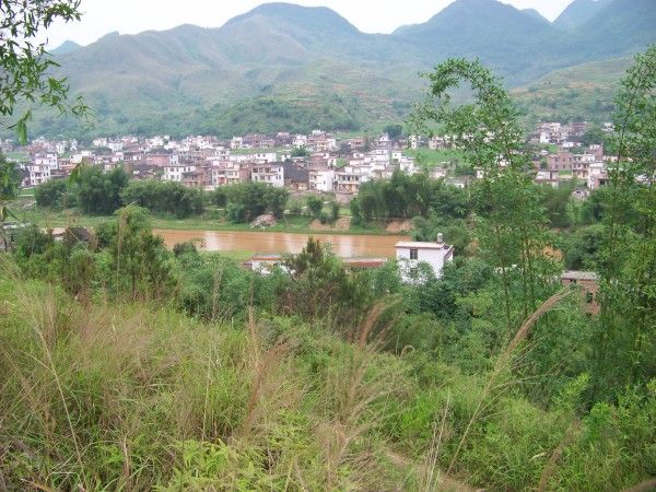 寨崗村(廣東省肇慶市封開縣羅董鎮下轄村)