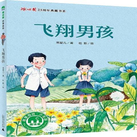 飛翔男孩(2017年廣西師範大學出版社出版的圖書)