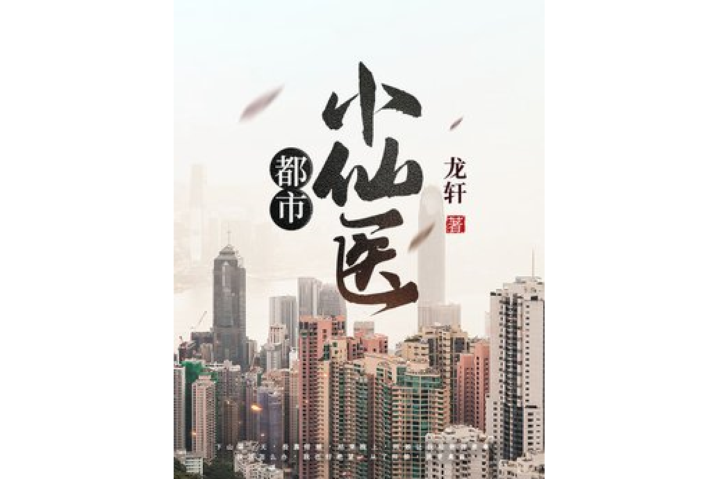 都市小仙醫(龍軒所著小說)