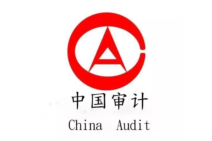 中共洛陽市洛龍區委審計委員會辦公室