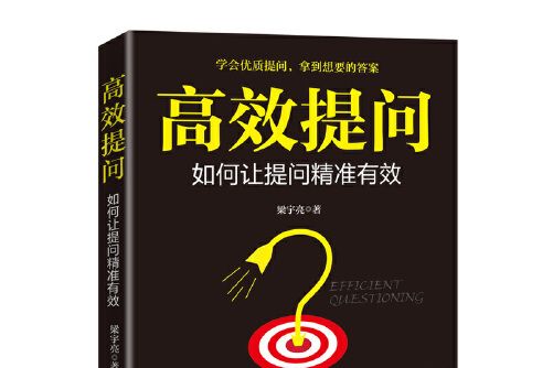 高效提問(2020年中國經濟出版社出版的圖書)