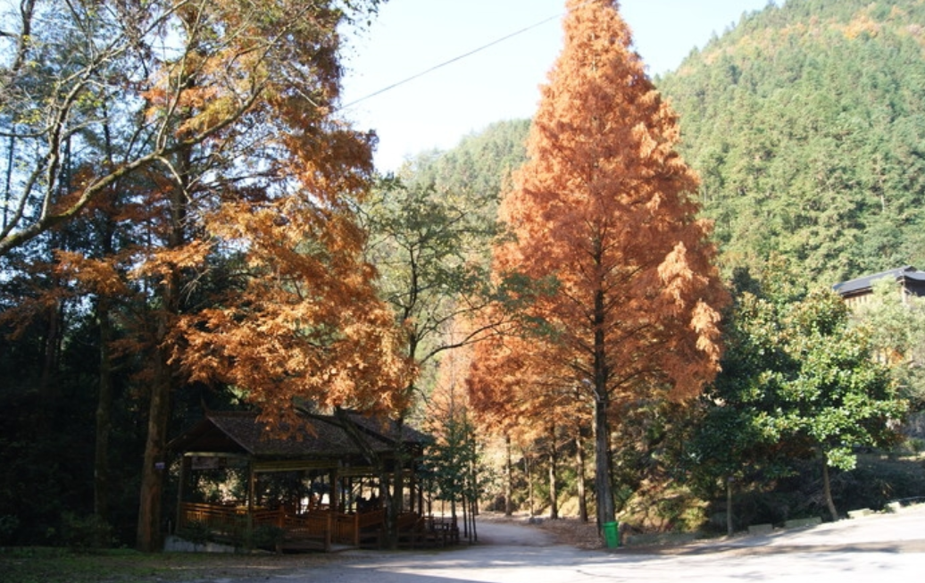 浙江松陽卯山國家森林公園(松陽卯山國家森林公園)