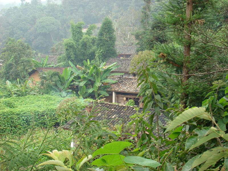 石佛山自然村(雲南省臨滄市永德縣烏木龍鄉石佛山自然村)