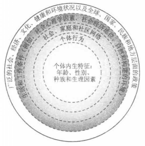 圖1影響健康的決定因素的多層次索引圖