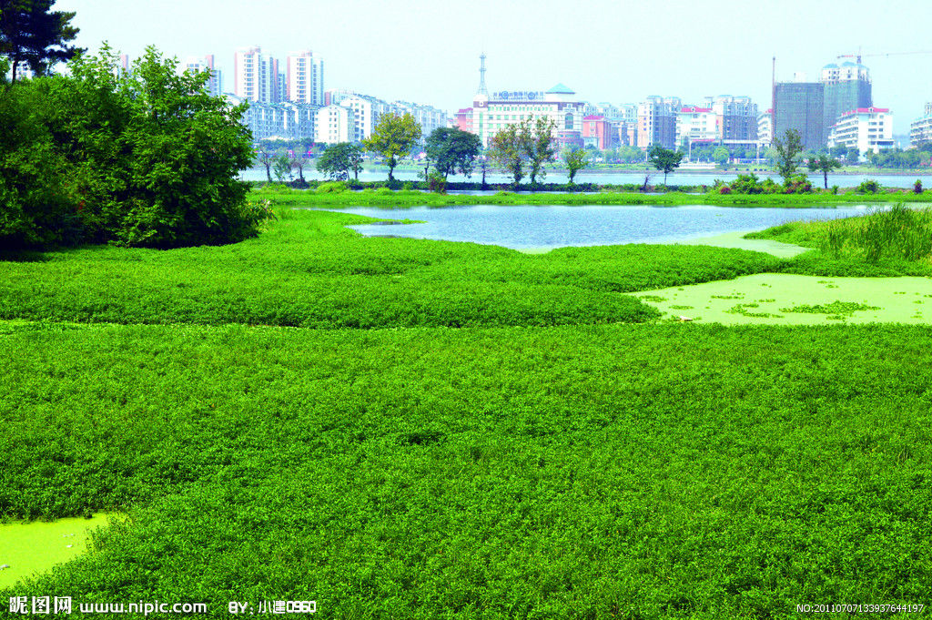 城市綠地