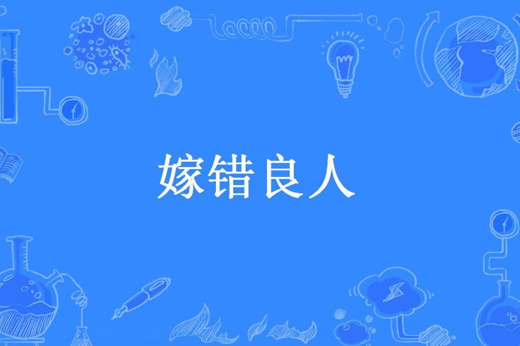 嫁錯良人(雨落花開所著小說)