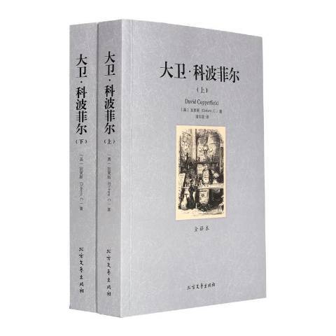 大衛·科波菲爾(2012年黑龍江北方文藝出版社出版的圖書)