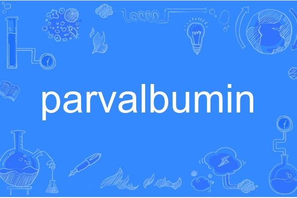 parvalbumin