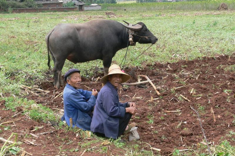 田園風光