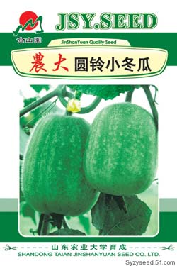 圓鈴小冬瓜