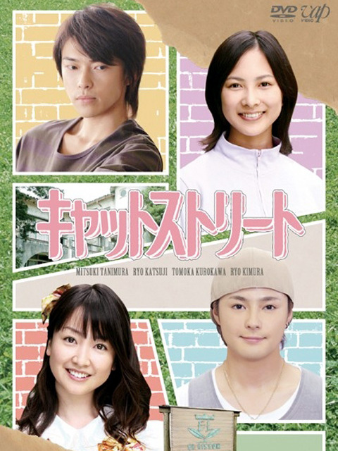 貓街(日本2008年穀村美月主演的電視劇)