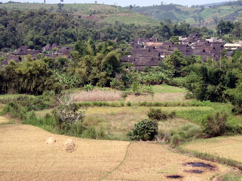 勐滿村