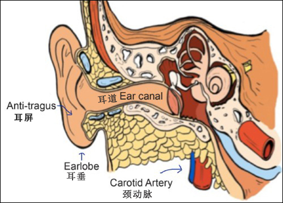 PerformTek生物感應技術