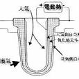 氧化鋯型氧感測器