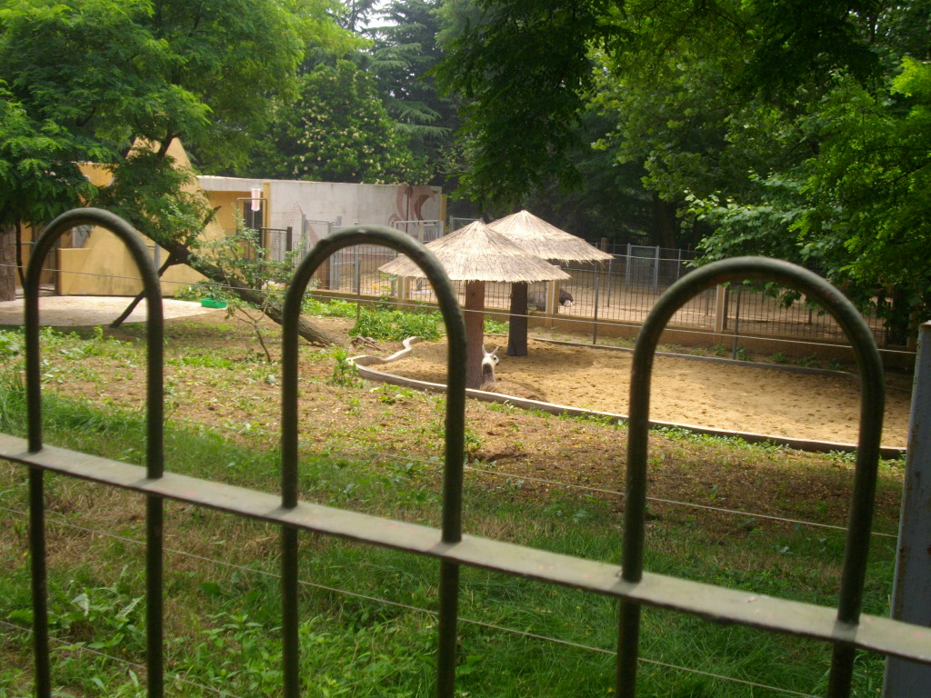 青島動物園走禽館