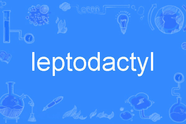 leptodactyl