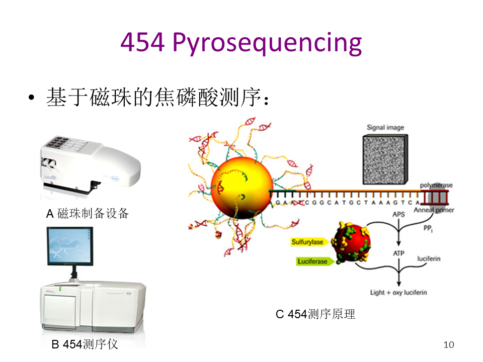 454測序原理