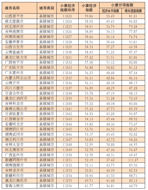 中國城市小康經濟指數報告