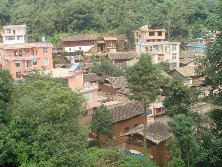 法沖村(紅塔區洛河鄉下轄村)