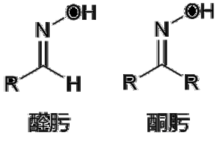 醛肟與酮肟的結構通式