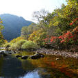 蒲石河森林公園