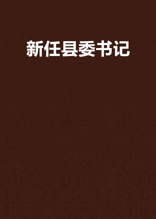 新任縣委書記(小說名稱)