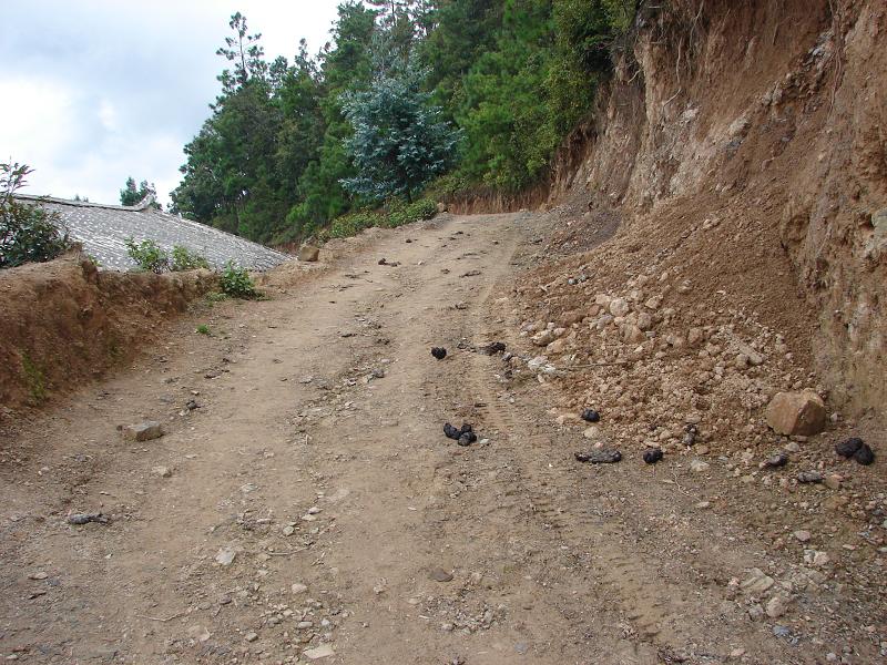 楚雄市中山鎮灑巴苴村委會岩子頭村進村道路