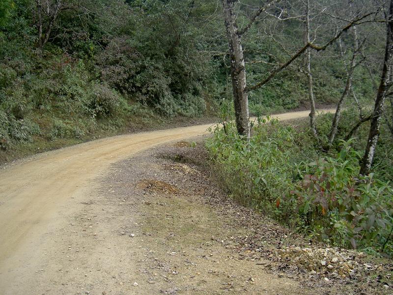 進村公路