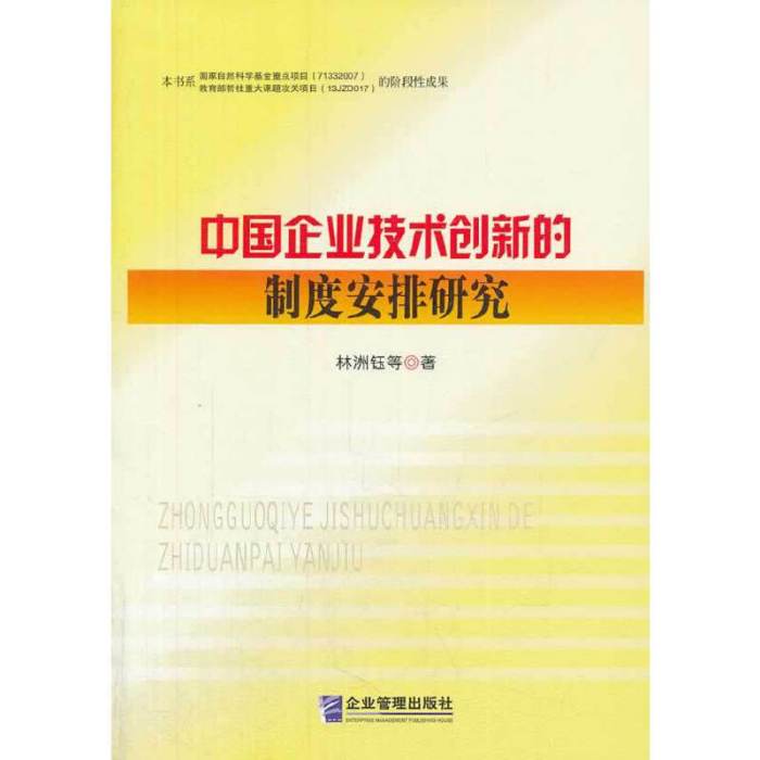 中國企業技術創新的制度安排研究