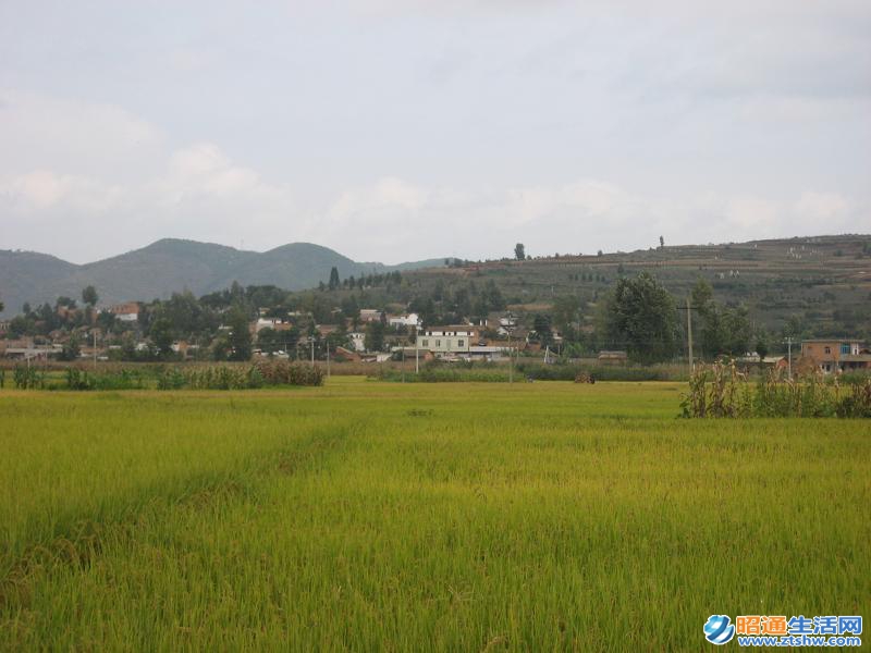 硯池山村