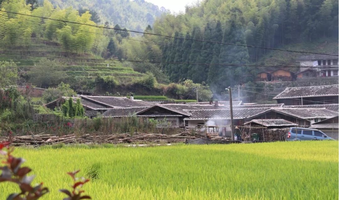 張荊村