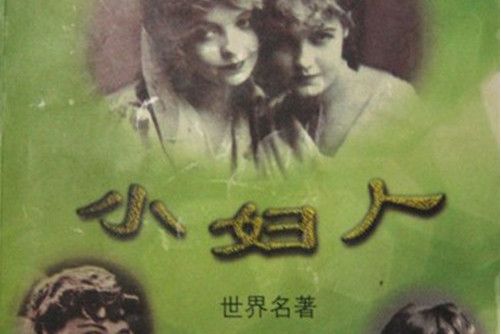 小婦人(2004年譯林出版社出版的圖書)