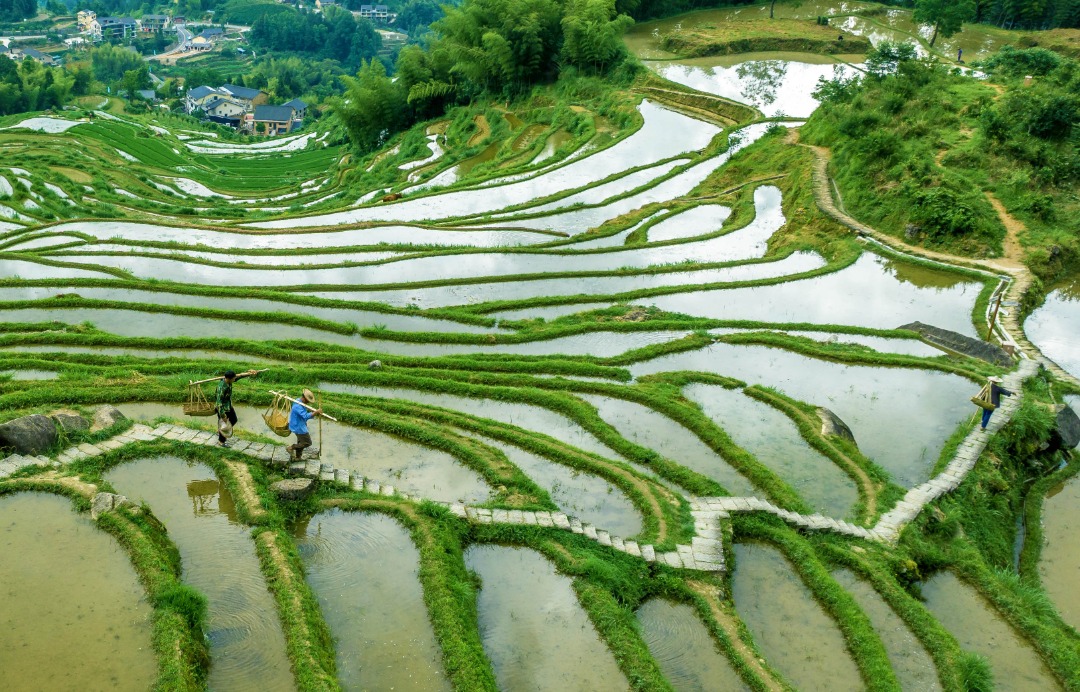 雲和梯田景區