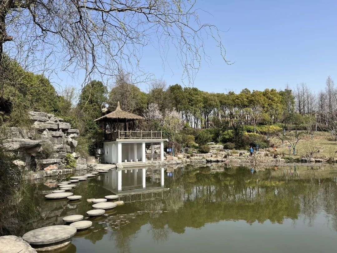 胡莊公園