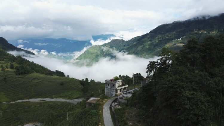 金平苗族瑤族傣族自治縣(雲南金平)