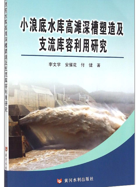 小浪底水庫高灘深槽塑造及支流庫容利用研究