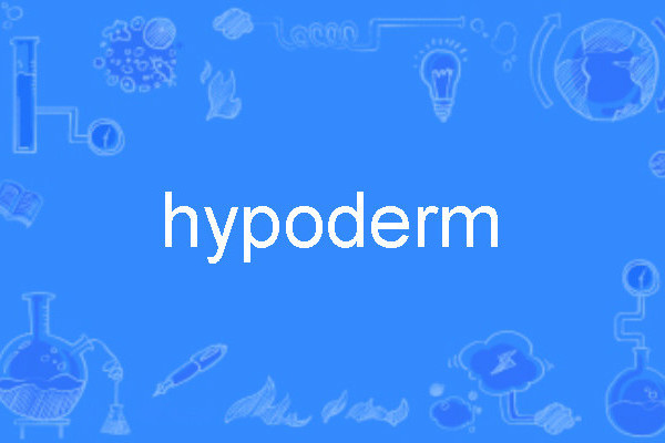 hypoderm