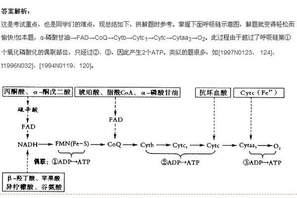 歪曲福軸制金達平行定律