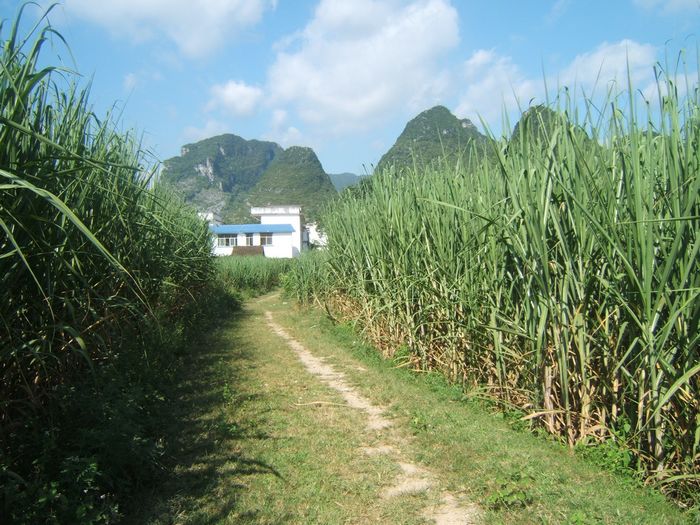 南王村(山西省侯馬市鳳城鄉下轄村)