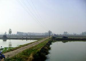 水產養殖基地