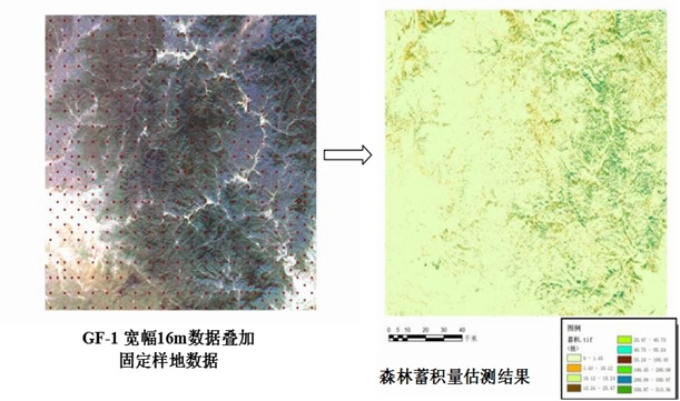 國家林業局衛星林業套用中心