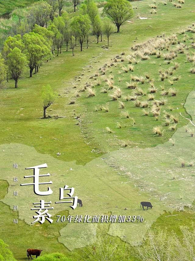 每年4000萬噸，內蒙古改寫中國糧食版圖 | 地球知識局