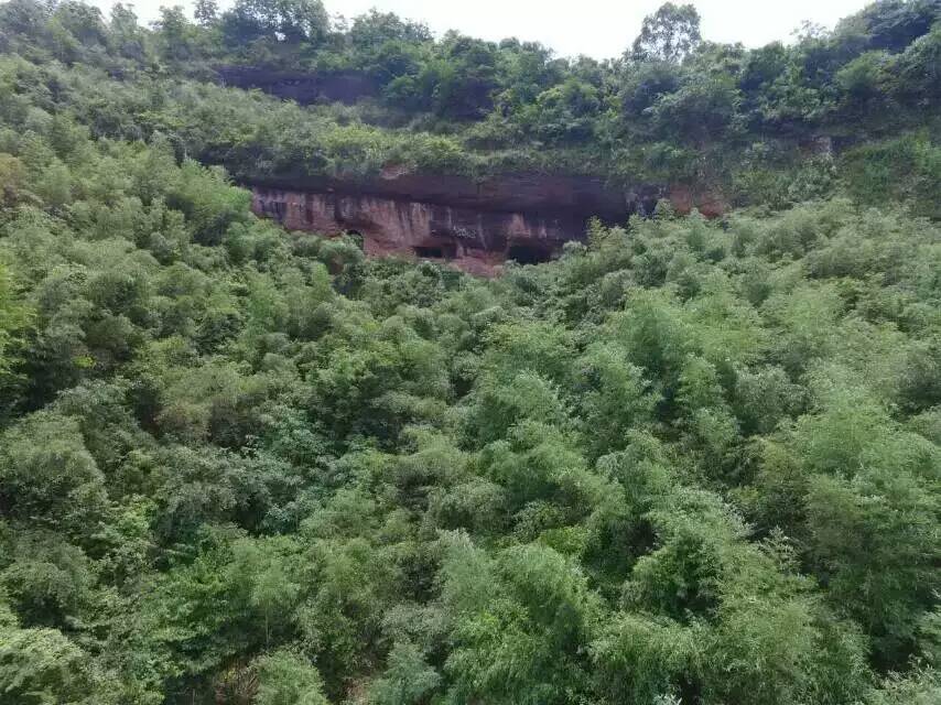 花仙岩景觀