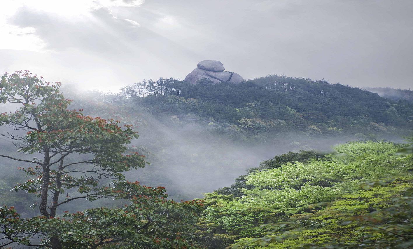 岩下村(福建省建甌市迪口鎮下轄村)