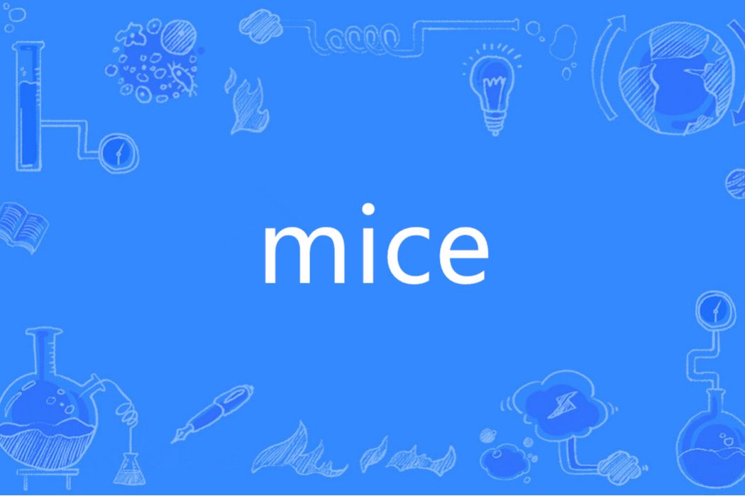 MICE(英語單詞)