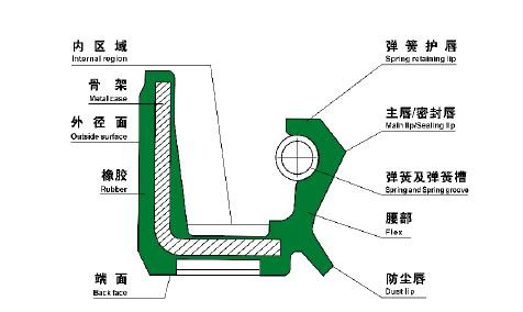 骨架油封