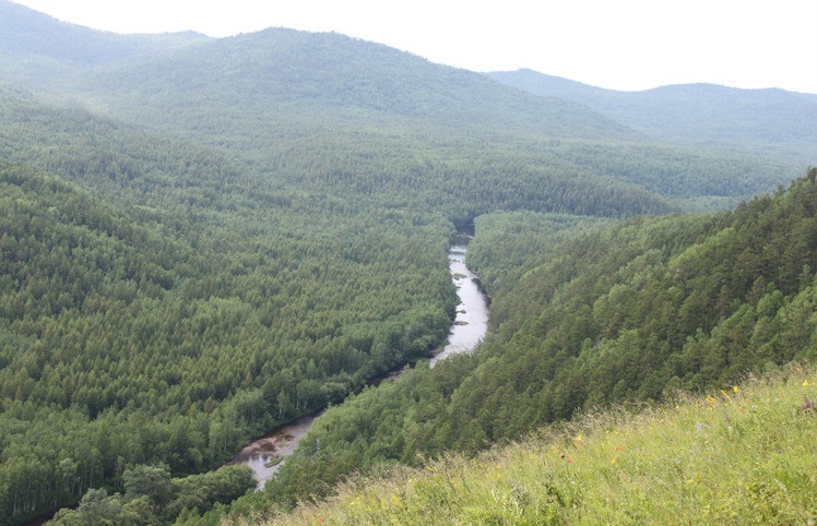 烏瑪河