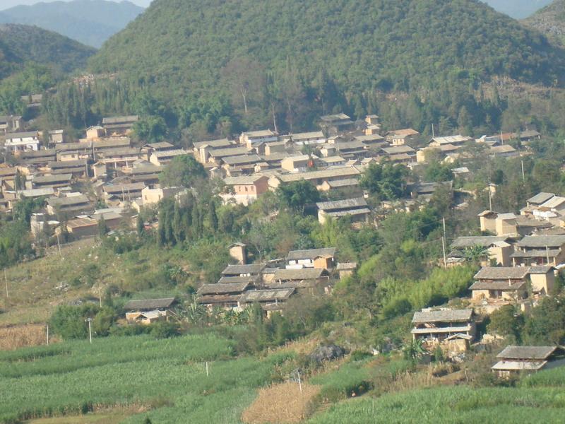 南林村(雲南文山州文山縣東山鄉下轄村)