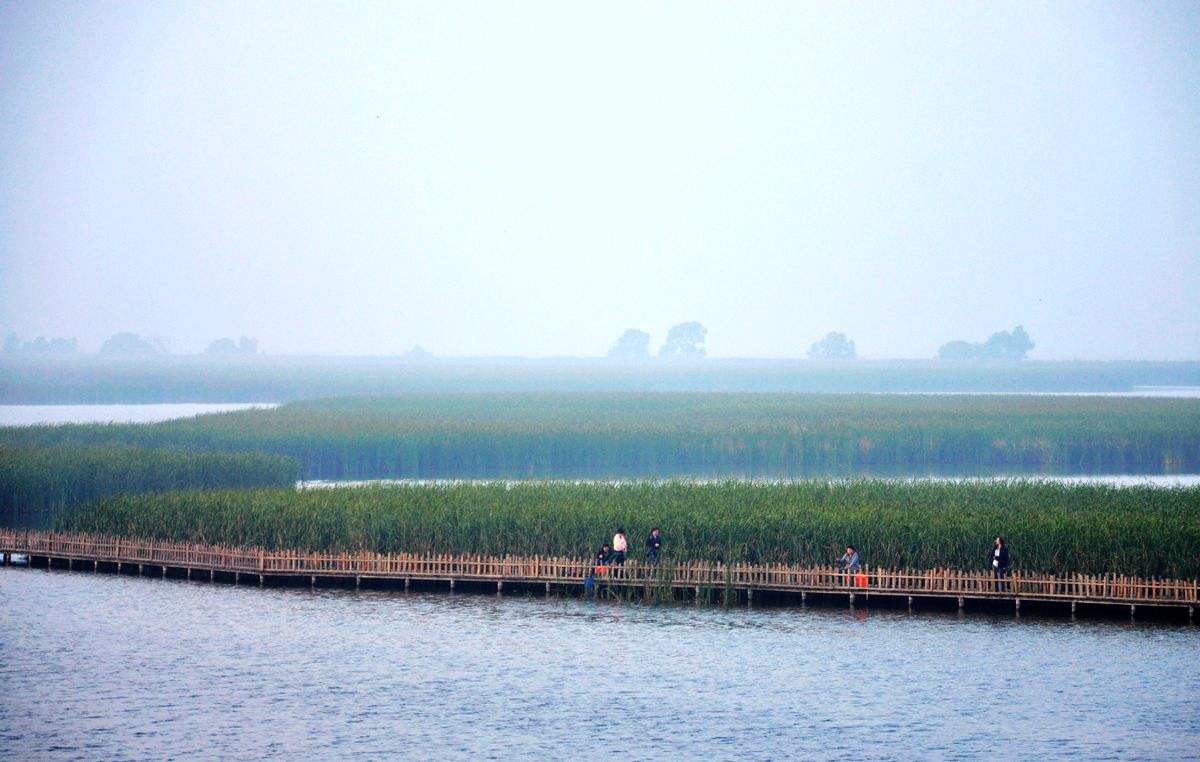 鶴鳴湖鎮