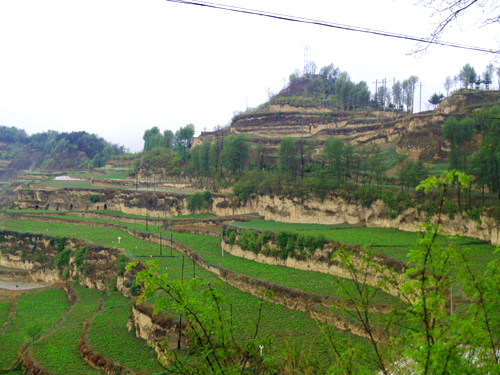 李家廟村(甘肅省隴南市武都區安化鎮李家廟村)